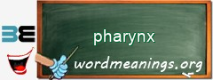 WordMeaning blackboard for pharynx